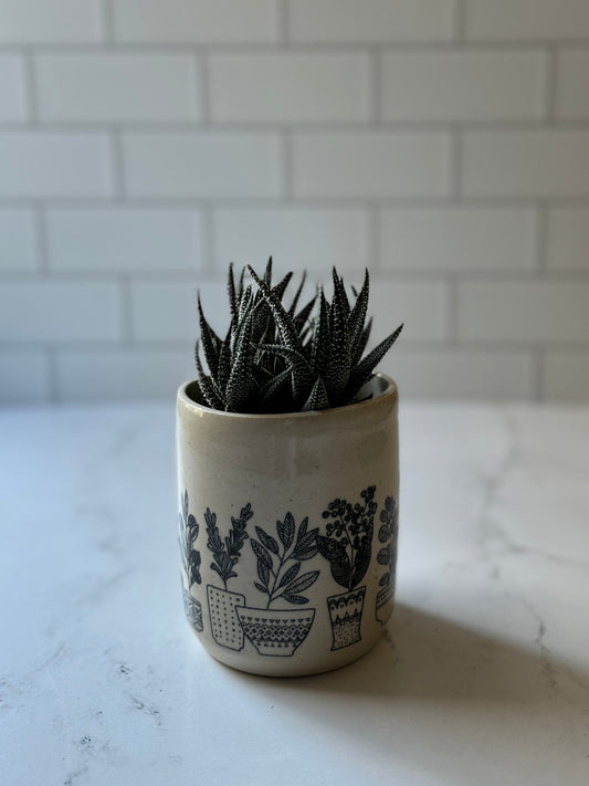 Plant Print Succulent Planter- black