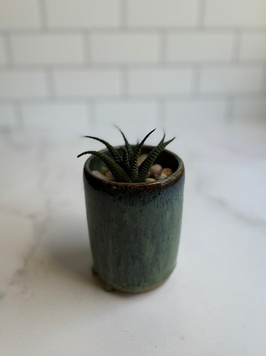 Indigo Succulent Planter