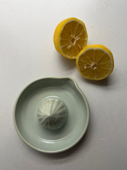 Lemon Juicer- Celadon